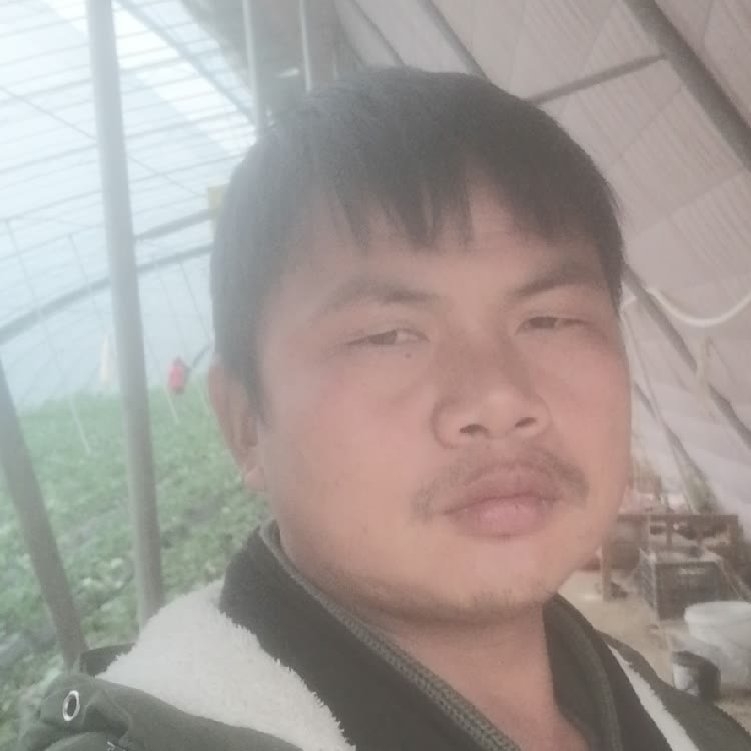 孤狼‘的第一张照片--晋江相亲网