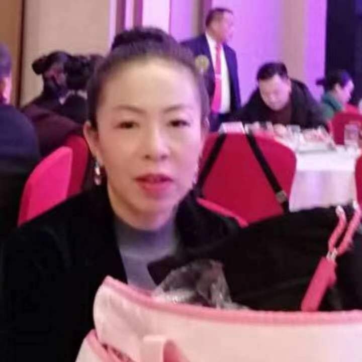 中秋桂花玉兔的第四张照片--晋江相亲网