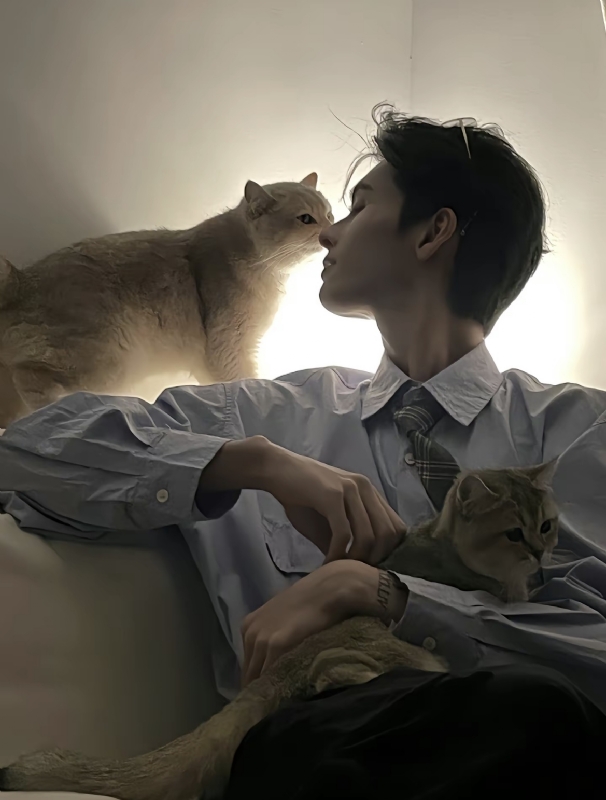 怪猫的第一张照片--晋江相亲网
