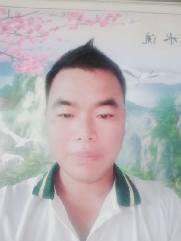 阳光男孩的第二张照片--晋江相亲网